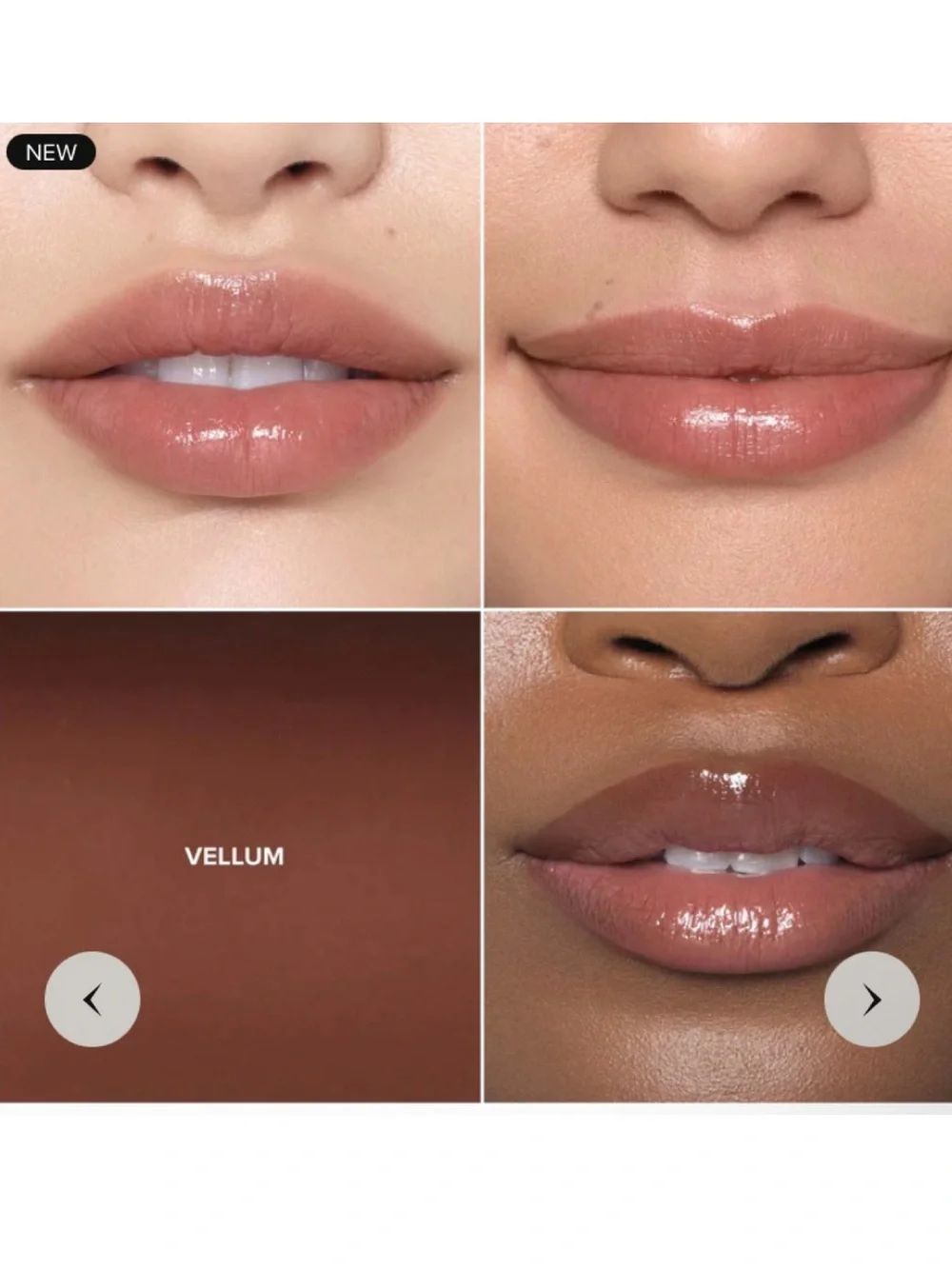 NEW✅ABH Vellum